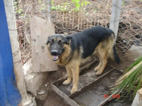 Viven en lugares reducidos, entre mugre, humedad, sarna y desnutrición. 