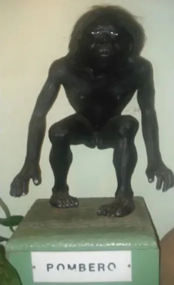 WhatsApp Image 2024-06-26 at 11.57.48 AM