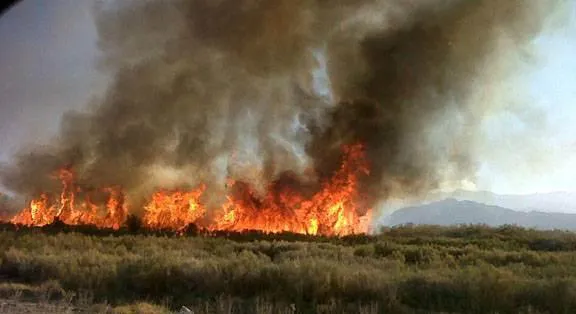 incendios