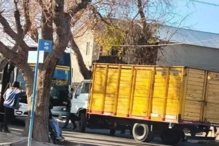 Camion colectivo