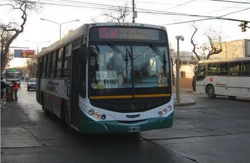 colectivo