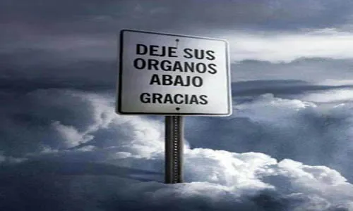 donacion-de-organos
