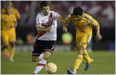 river-tigres