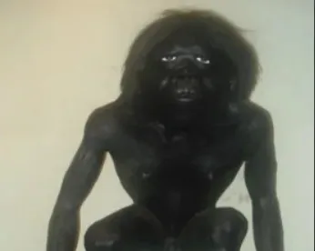 WhatsApp Image 2024-06-26 at 11.58.12 AM