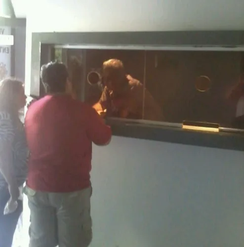 entradas fiesta nacional del sol 