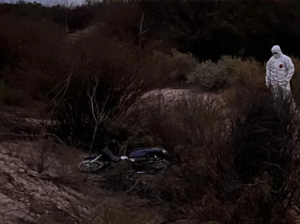 WhatsApp Image 2026-04-05 at 22.08.29