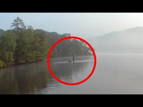 La foto fue tomada por un vecino quien capturó imágenes todo el día.