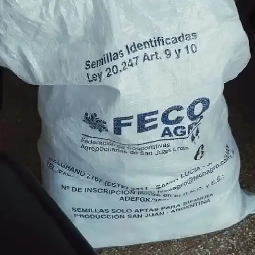 semillas1