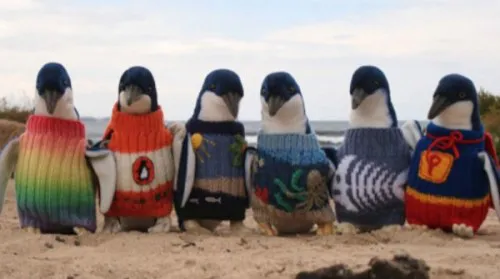 pinguinos