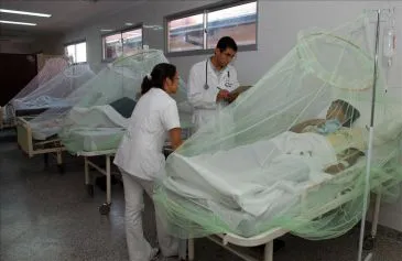dengue