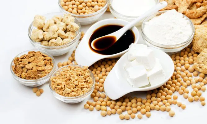 Vegetarianos Tofu Soja