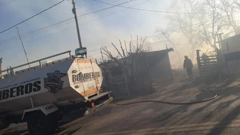 WhatsApp Image 2024-09-02 at 18.24.01