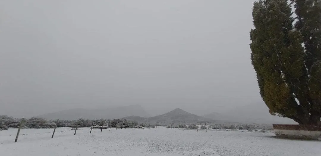 436888253_900533102084185_7287905331358377383_n