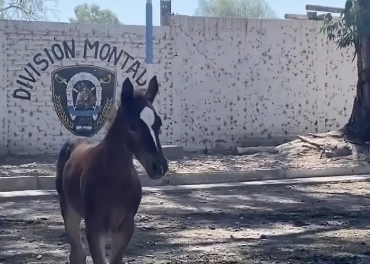 Captura de pantalla 2024-11-21 a la(s) 8.39.50 a. m.