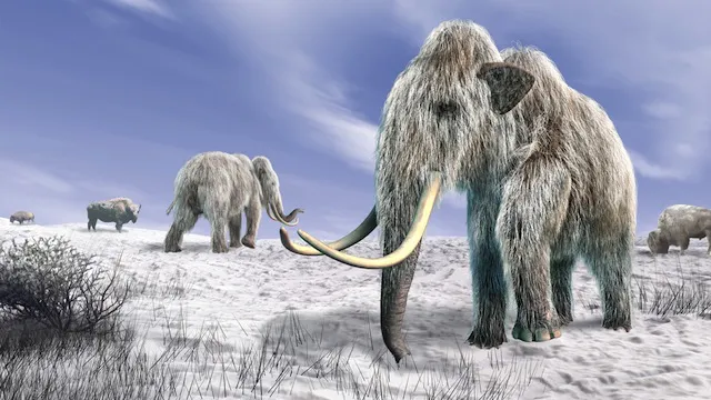mammut-1