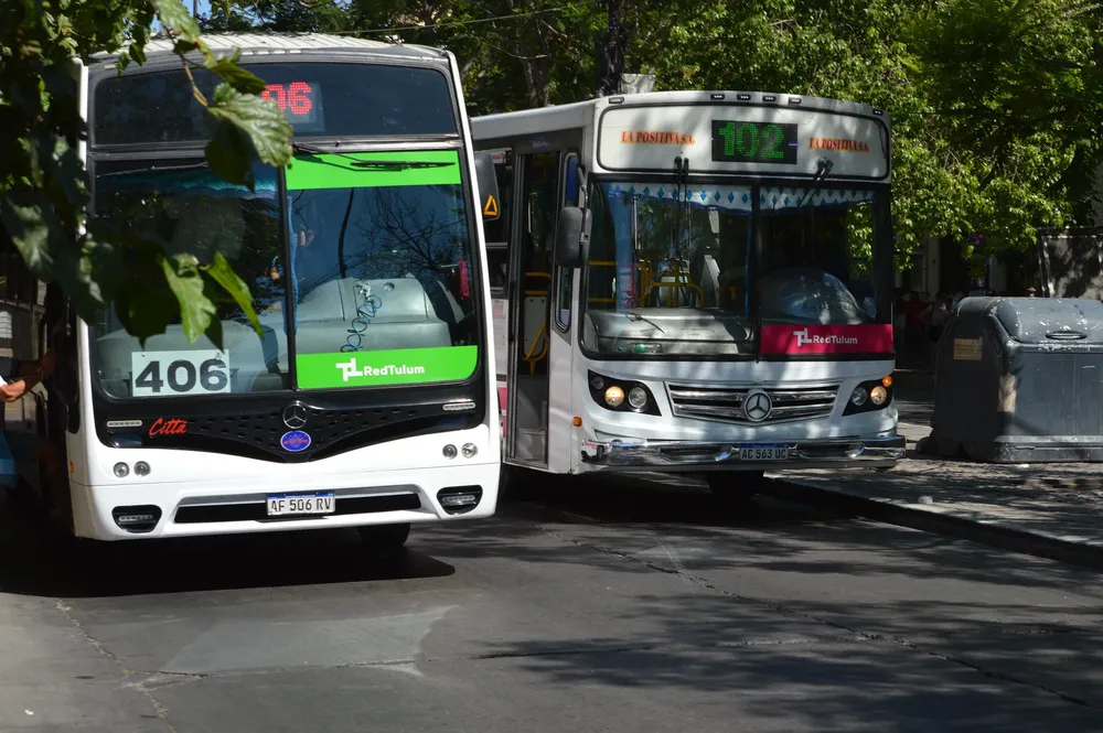 53581108561_80073595c1_k