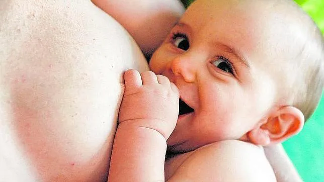 lactancia-estudio--644x362