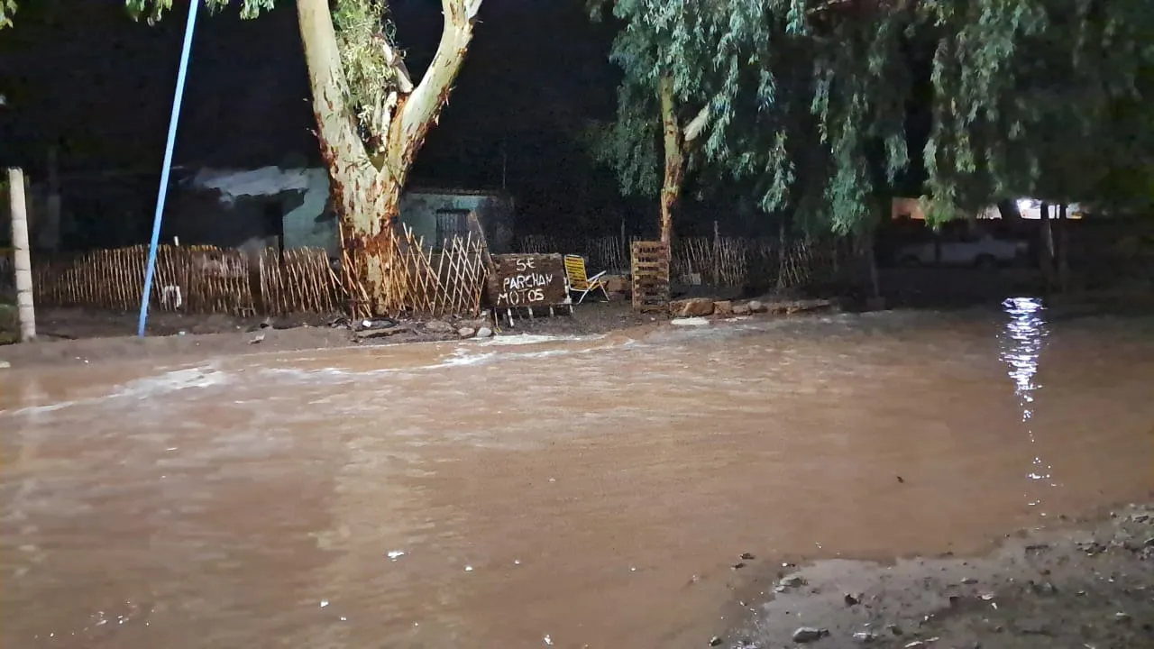 5269224e-2f1c-4082-88b7-83666413b06a