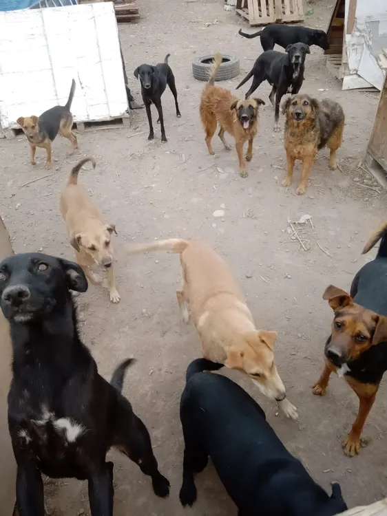 0f40b723-a216-4833-a741-ff8721ed4602