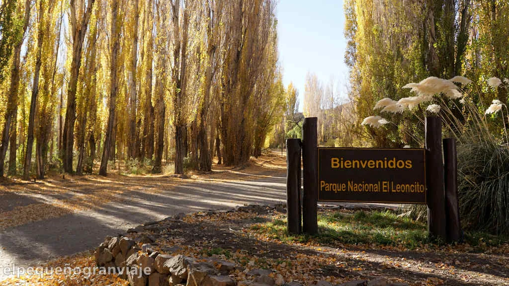 parque el leoncito