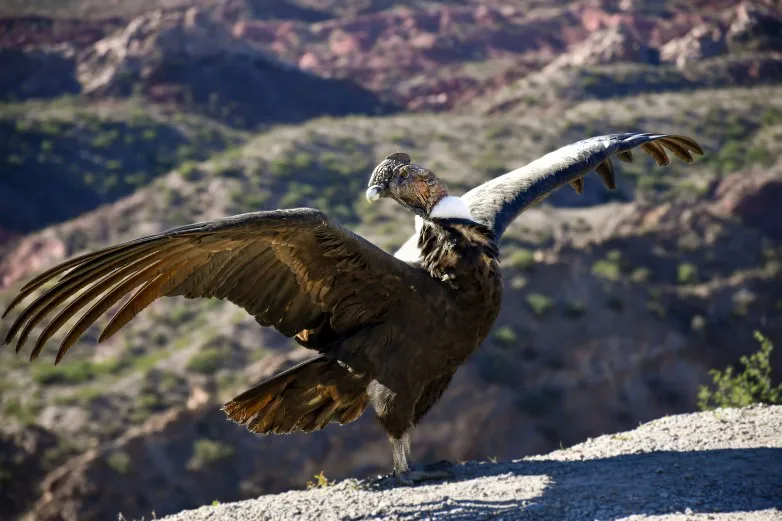 c2a197274e25d33d80709e00576eaac3_L