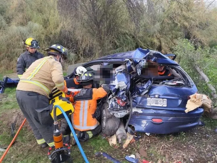 WhatsApp Image 2024-05-29 at 11.42.26