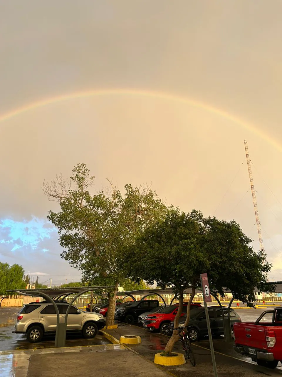 e39fbb79-1b75-4af7-a40f-9ff63880d548-1