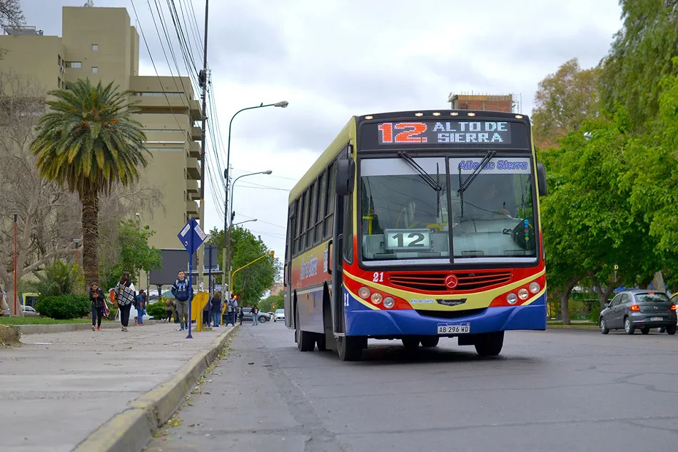 colectivo5