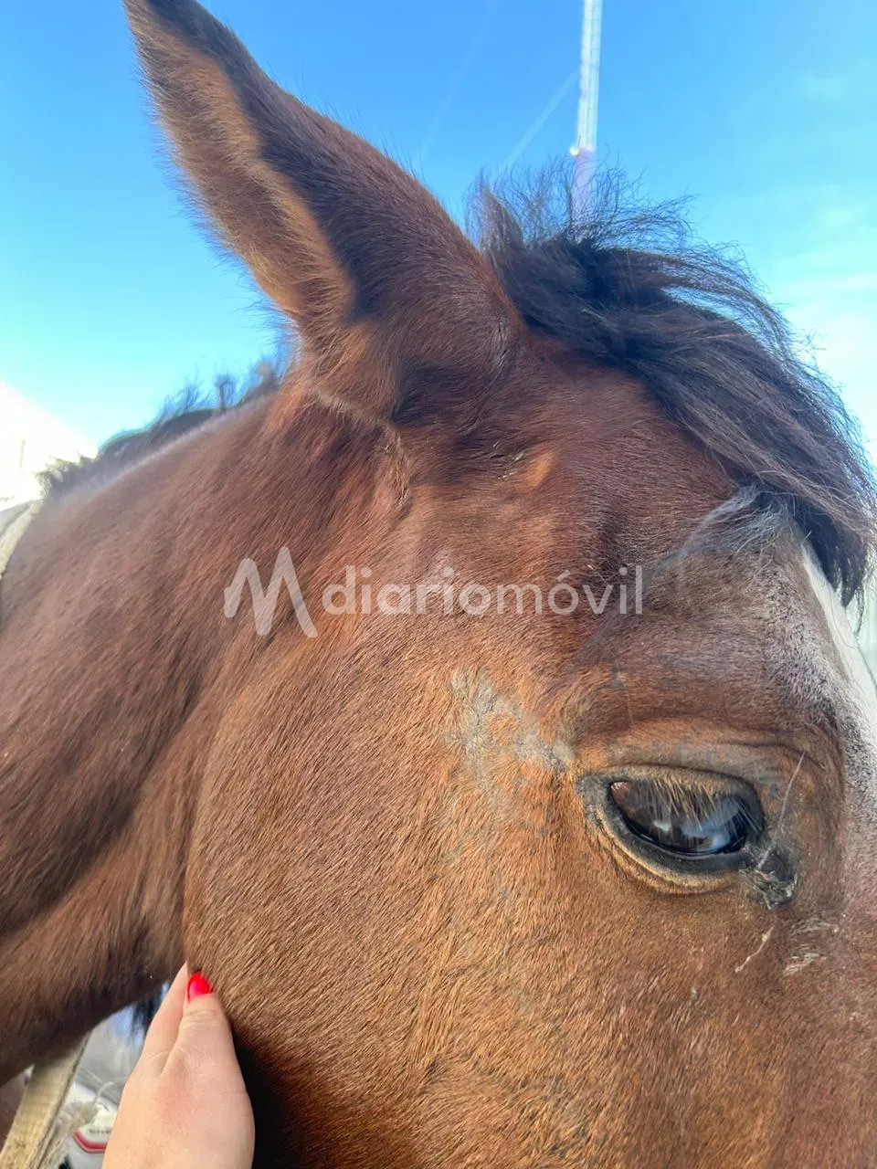 WhatsApp Image 2024-06-21 at 11.03.14 PM (2)