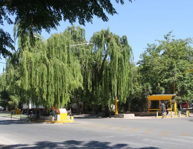 Esquina del Sauce