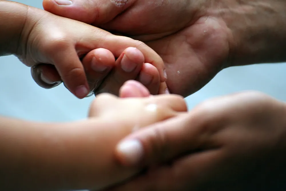adopt_87284_87284