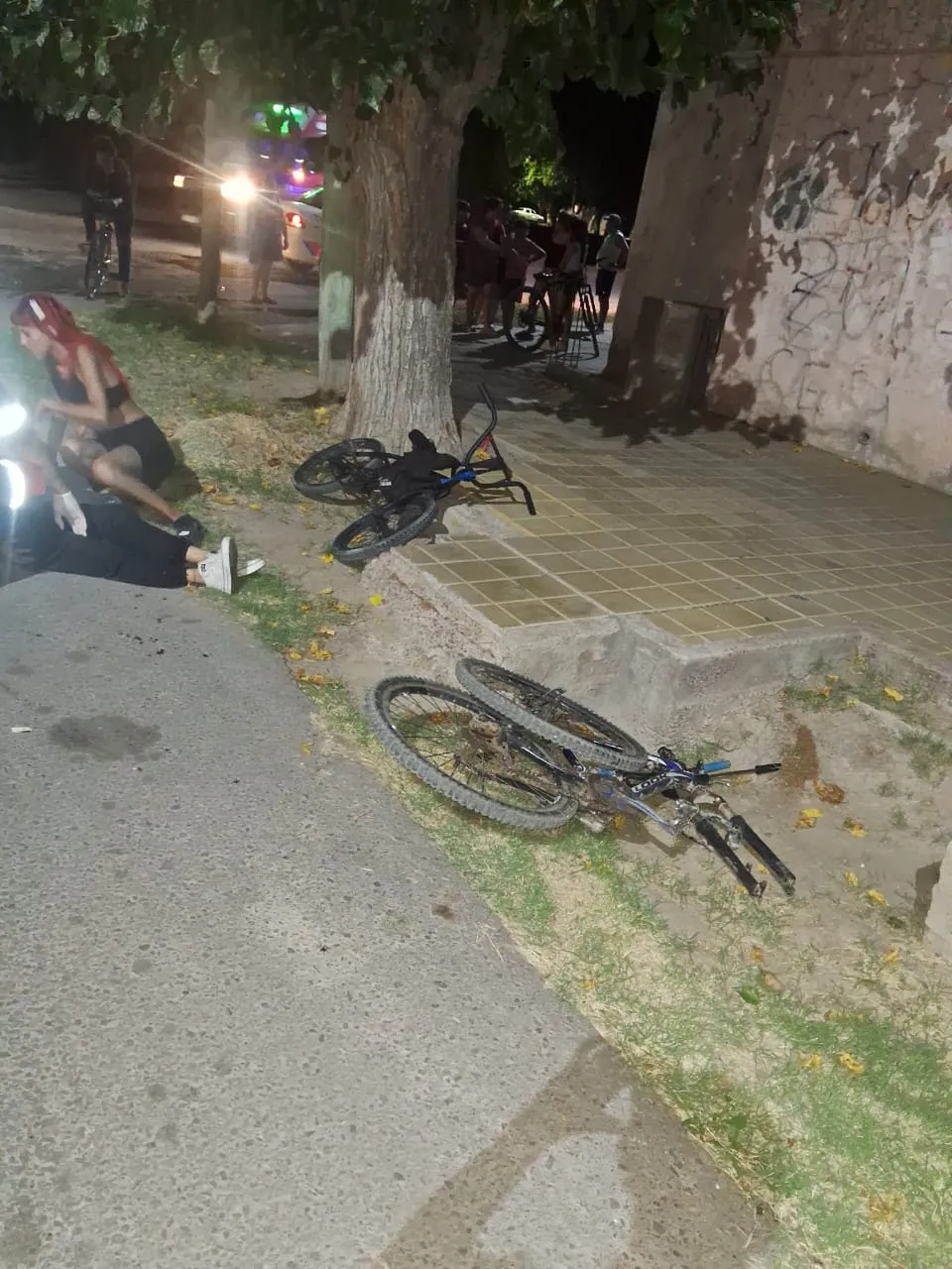 WhatsApp Image 2025-01-31 at 18.46.52