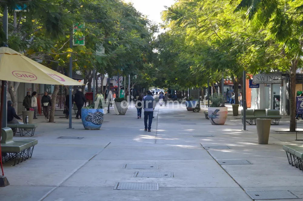 peatonal de san juan 22