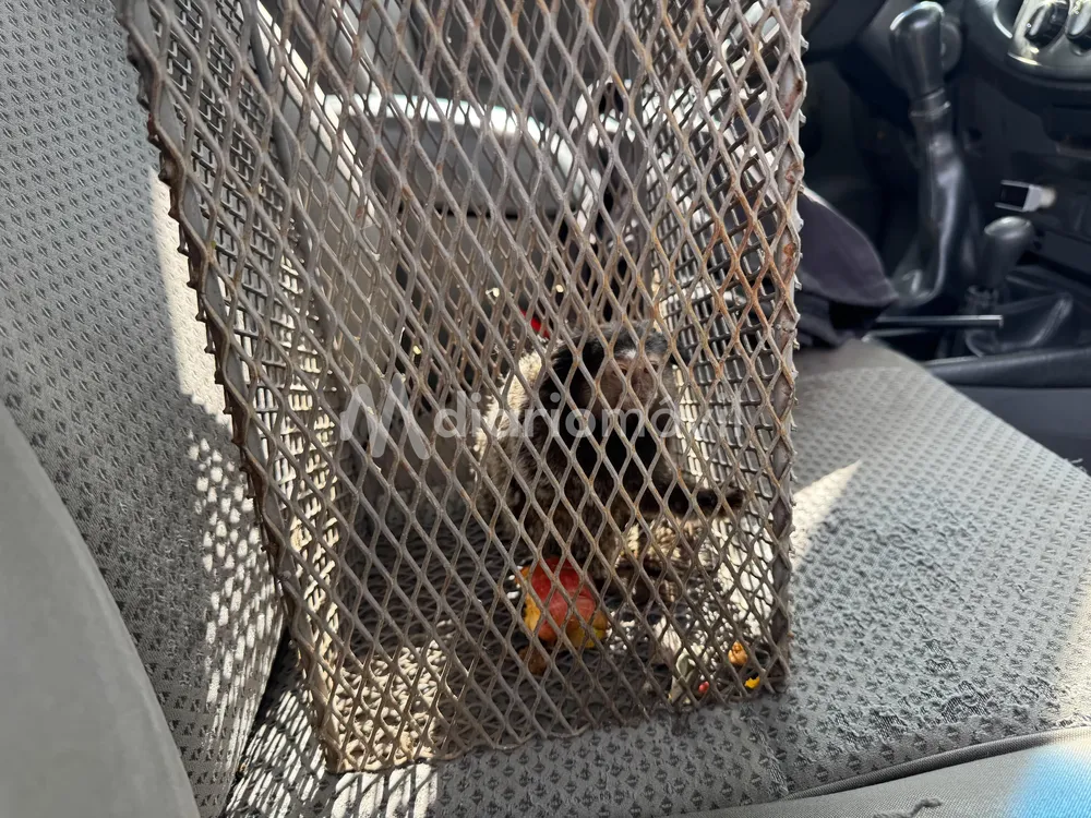 WhatsApp Image 2025-01-08 at 09.44.56