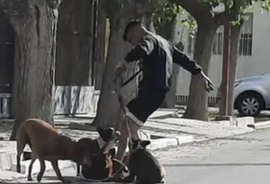 Captura de pantalla 2024-09-06 a la(s) 8.22.36 a. m.