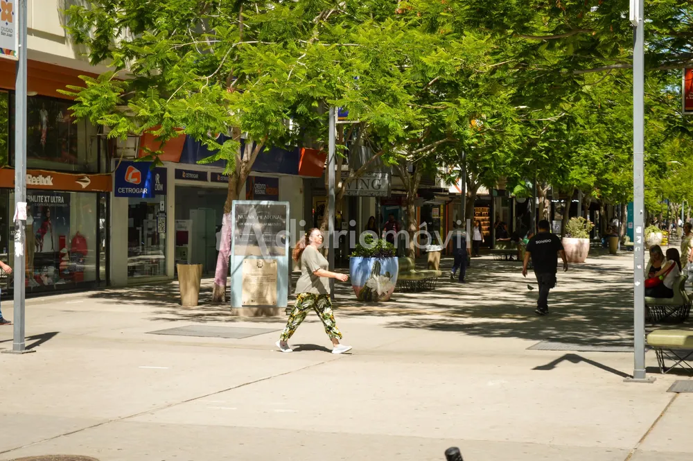 Peatonal comercio calor 3