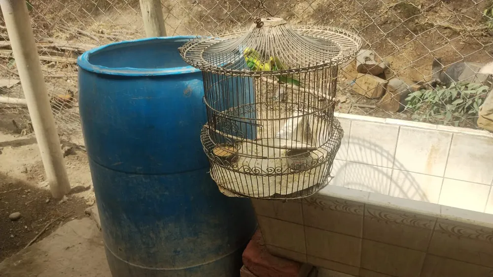 WhatsApp Image 2026-03-06 at 12.22.57