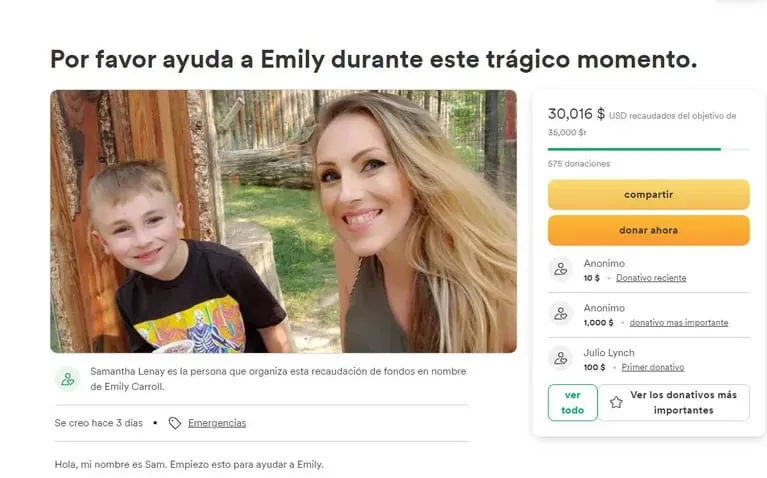 Allegados de Emily Islas ya recaudaron 30.000 dólares para ayudarla con los gastos médicos y para criar a su otra hija. (Foto: captura de GoFundMe).