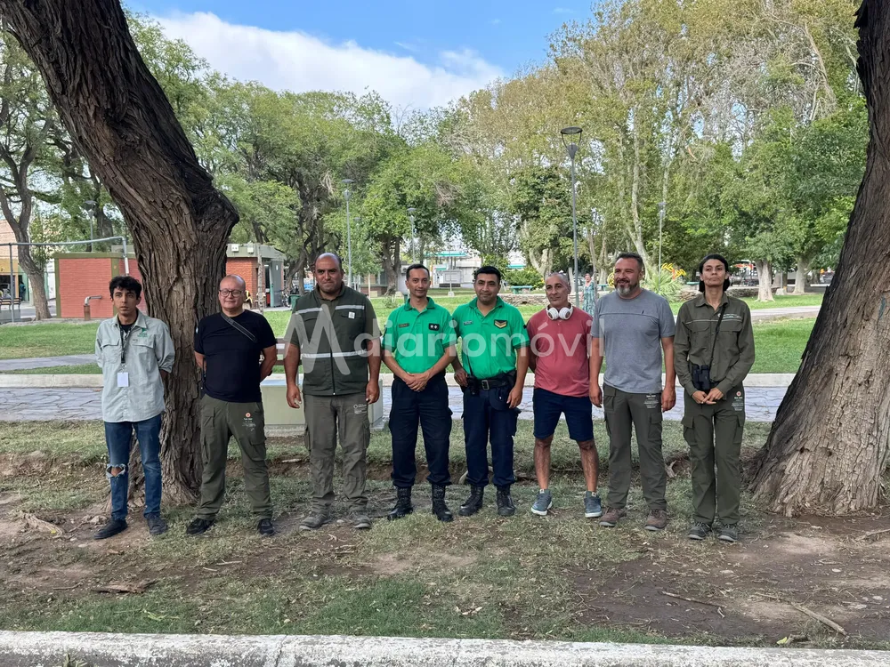 WhatsApp Image 2025-01-08 at 09.46.57