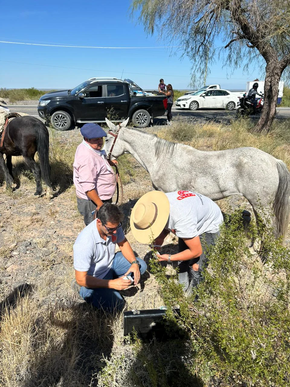 WhatsApp Image 2026-03-31 at 23.18.10