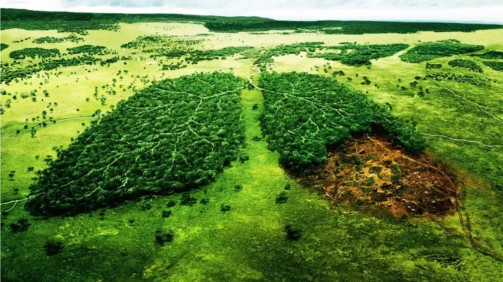 greenlungs