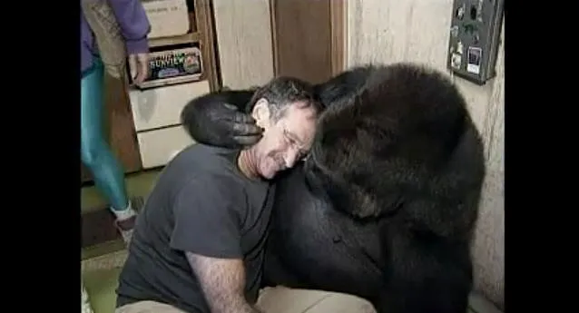 Robin-Williams