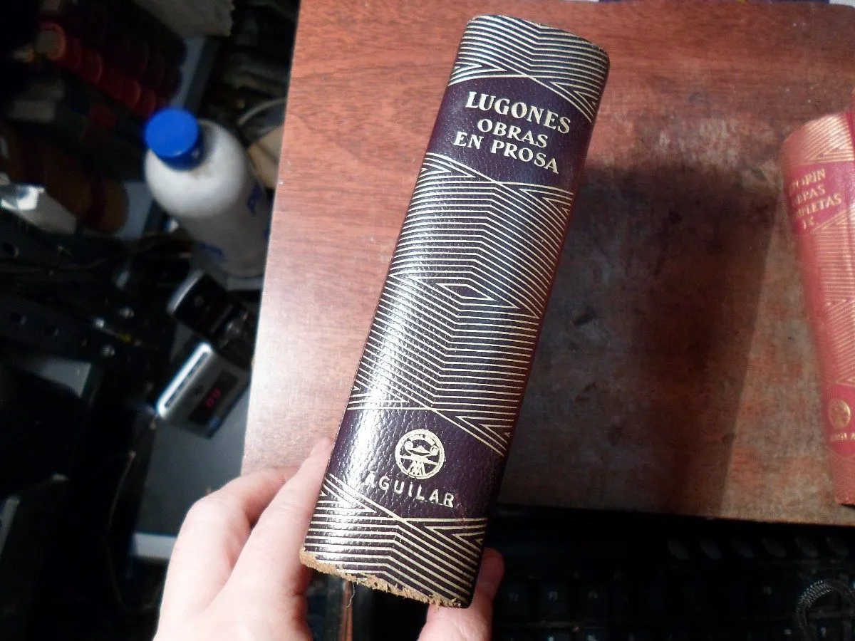 obras lugones