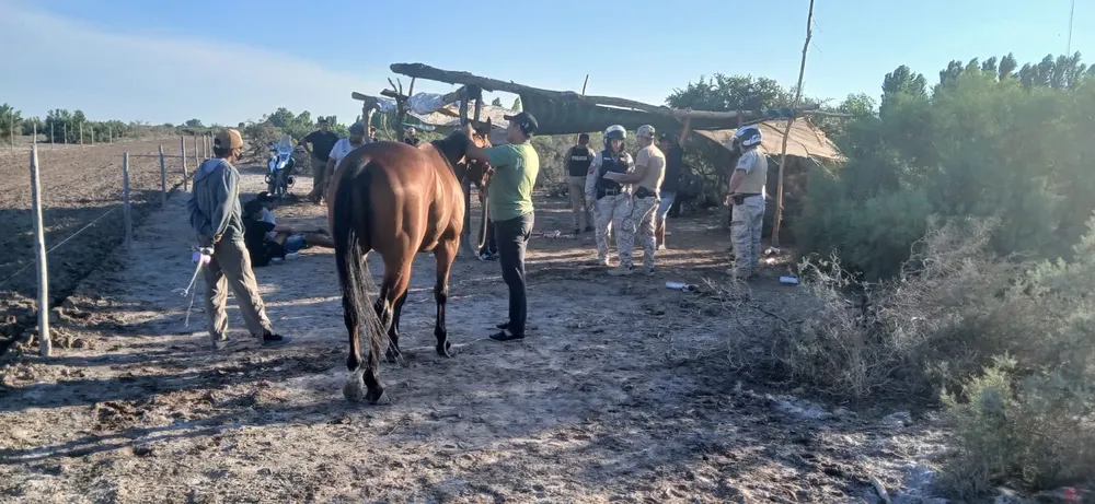 384e19d5-c14c-469c-9f49-5785bcb11361