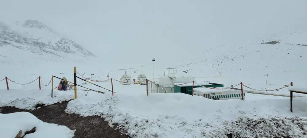 WhatsApp Image 2024-04-13 at 11.50.41 AM