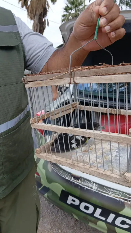 WhatsApp Image 2026-03-06 at 12.22.58