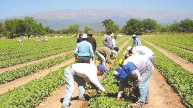 empleo informal en el ámbito rural