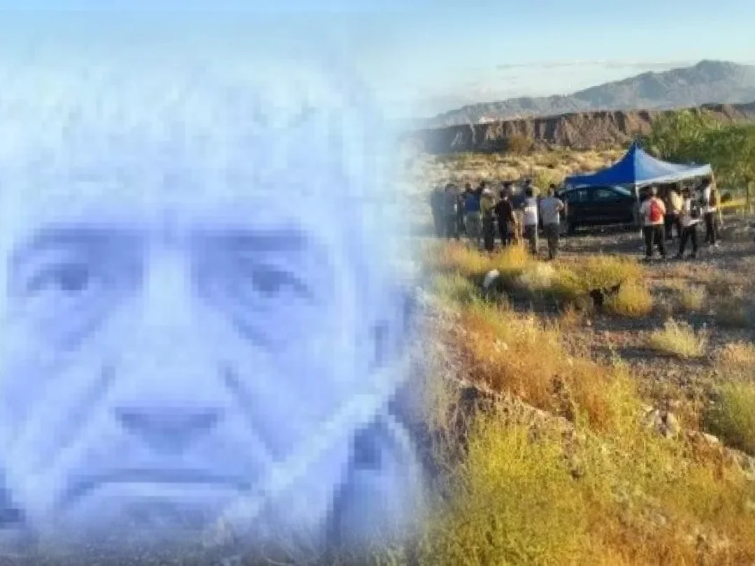 WhatsApp Image 2026-03-29 at 11.25.38