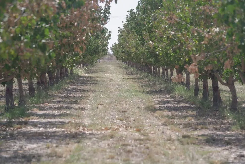 27624f906ece23425d96f15795cc7ea9_XL