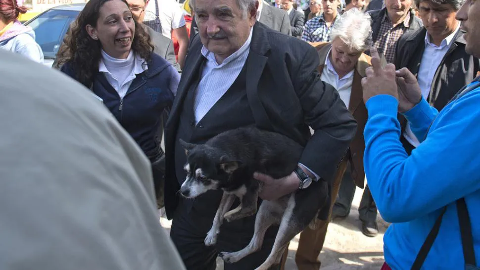 mujica